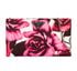 Tessuto Floral Clutch with Chain, other view